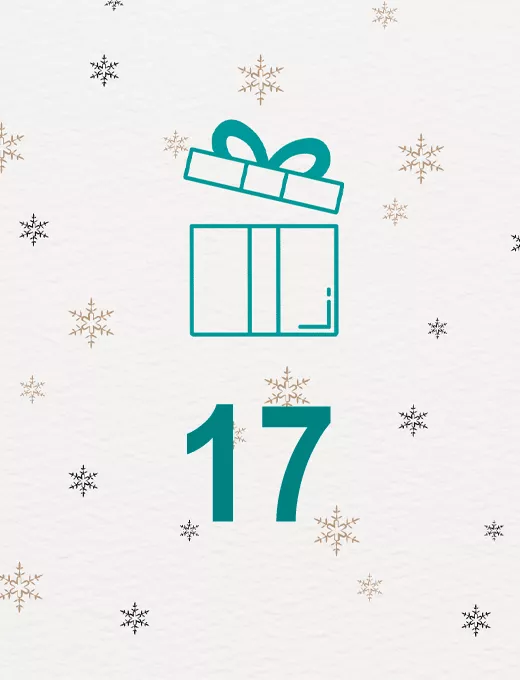 Adventskalendertür 17